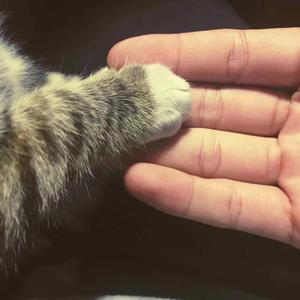 游戏美女全身裸体㊙️免费看视频
